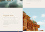 design, redesign stunning wordpress website with elementor pro